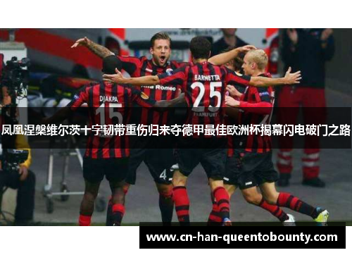 凤凰涅槃维尔茨十字韧带重伤归来夺德甲最佳欧洲杯揭幕闪电破门之路